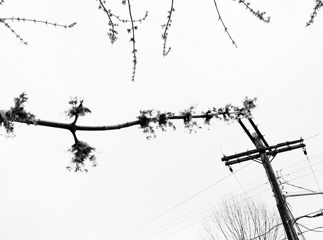 pole