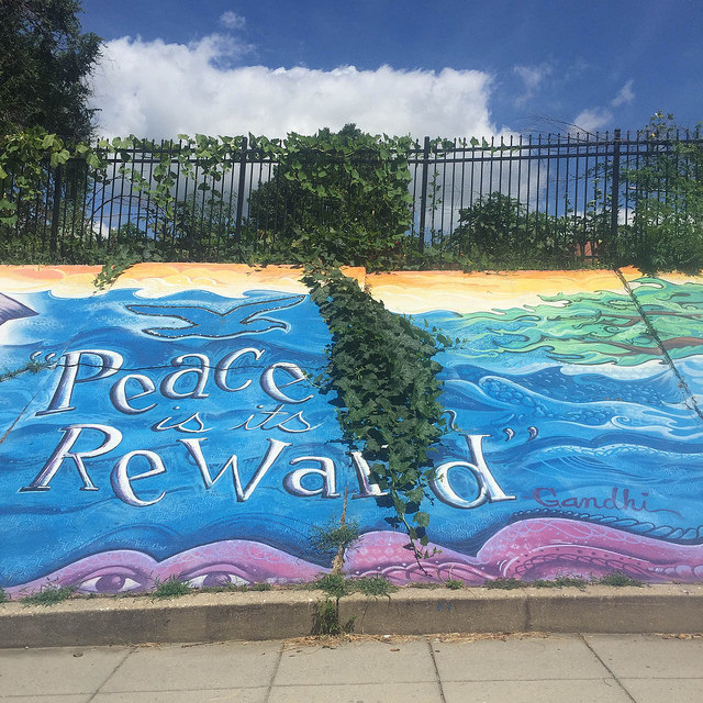 29015152456_ef87305acd_z