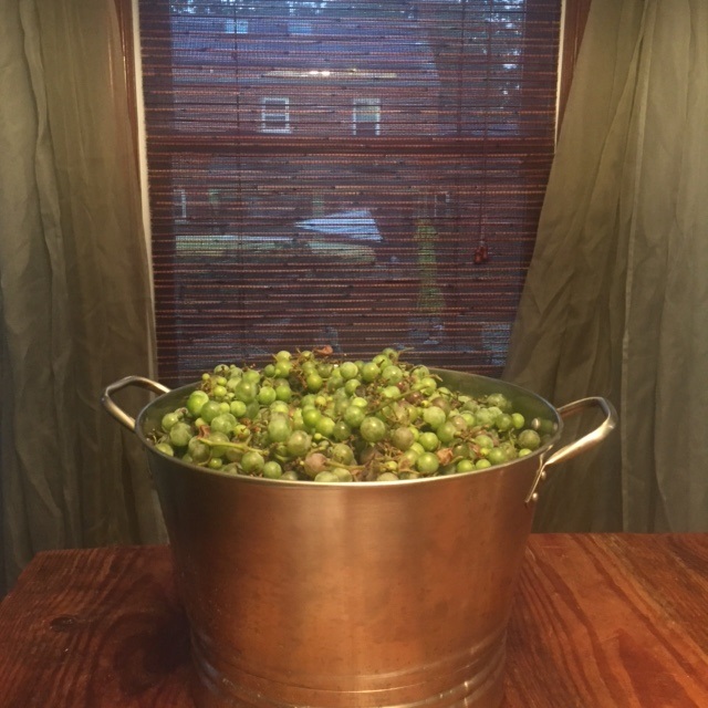 Garden Haul