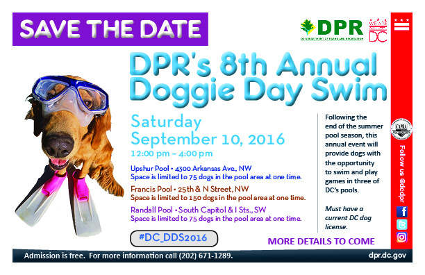 savethedateDogSwim2016