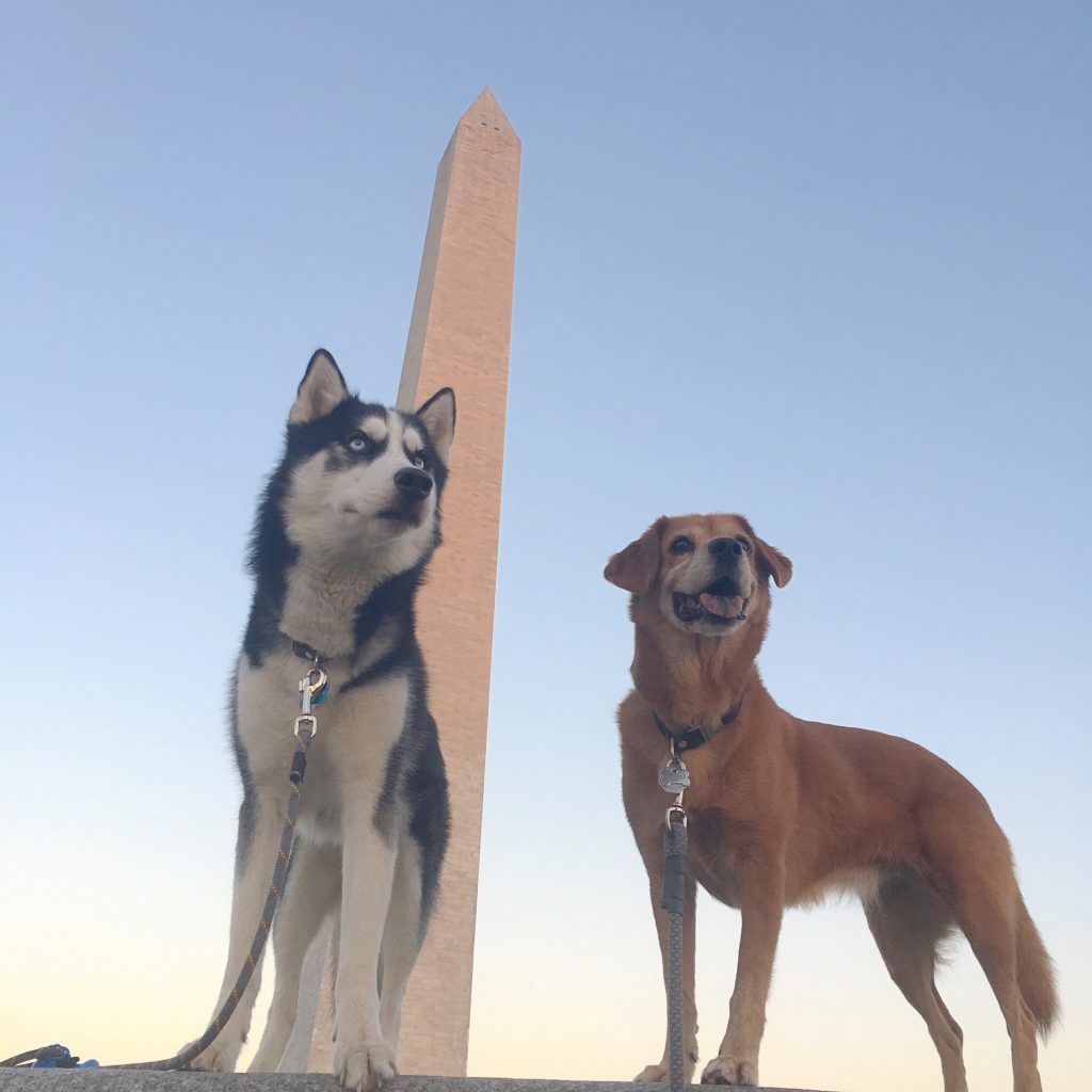 mckinley-and-sheridan