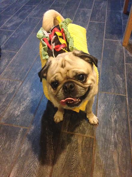 toby-taco