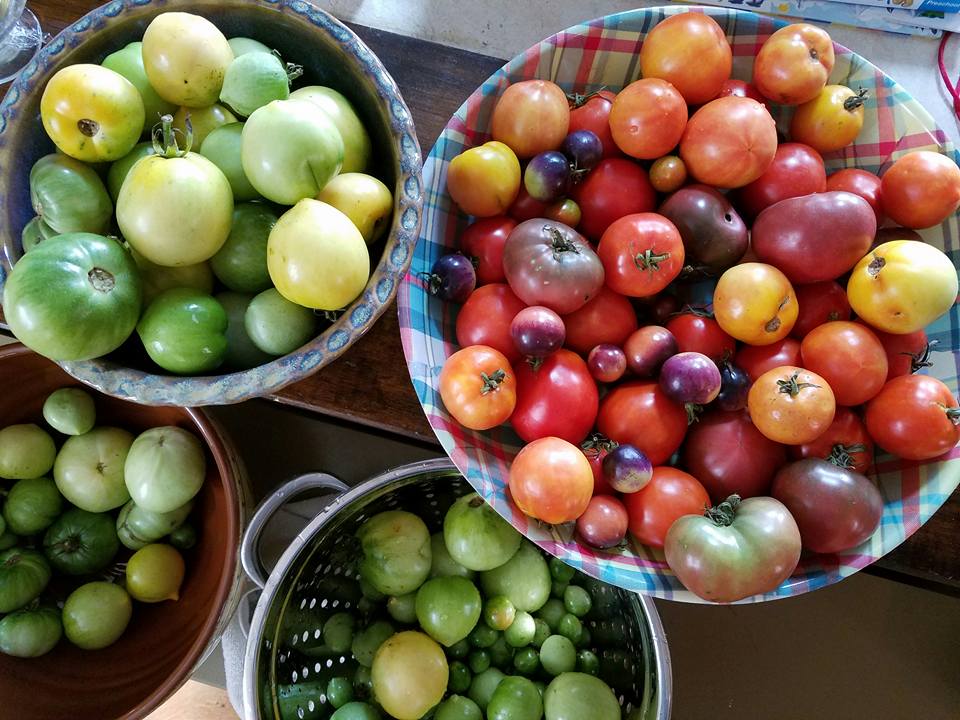 tomatohaul-16th-st-hts