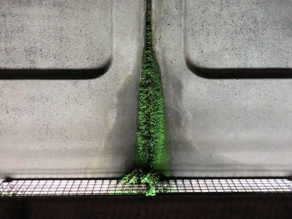 metaphor