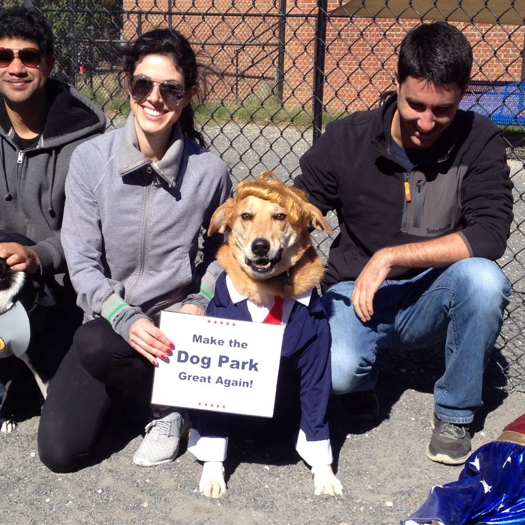 trump-dog