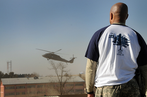 veterans-day-popville