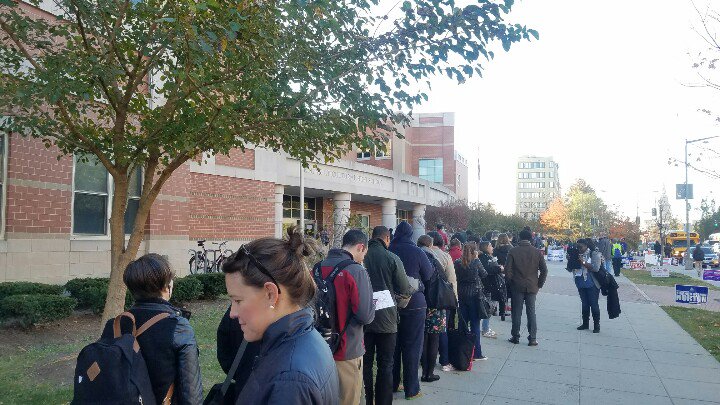 lines