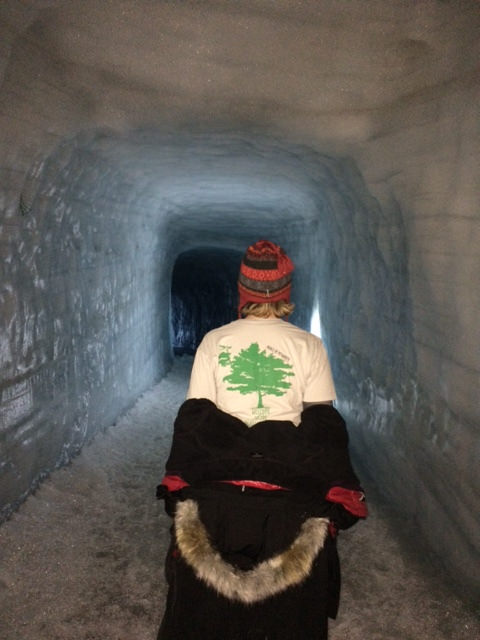 31754897471_47c3e9be17_z