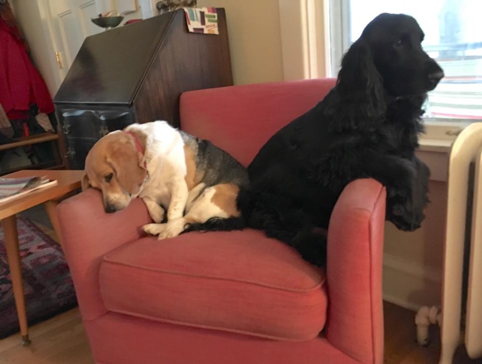 caption-needed