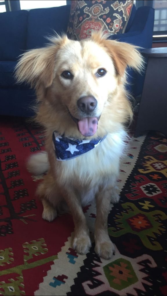 louie