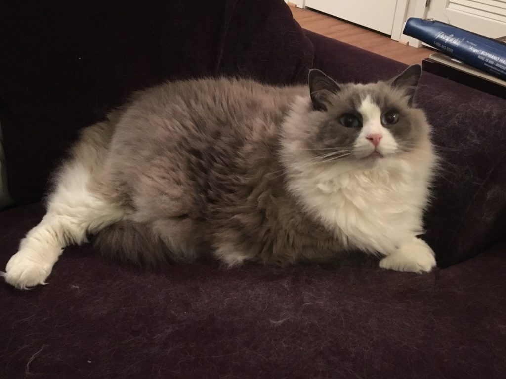 max