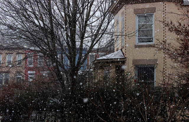 31356821543_79572080fe_z