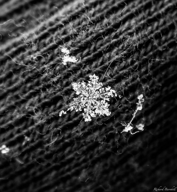 31791187980_2eb5f1281b_z