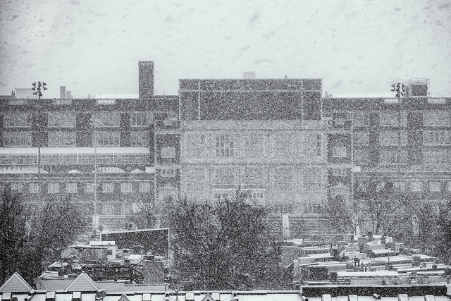 32017386682_f077becb42_z