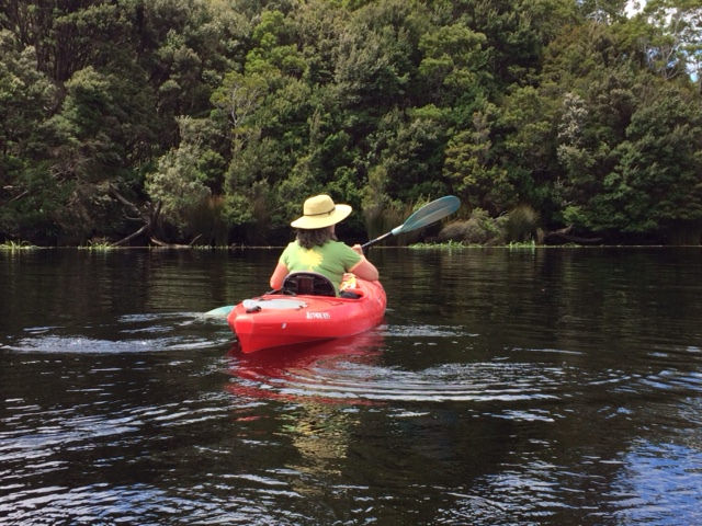 32103676595_f56e2c0880_z