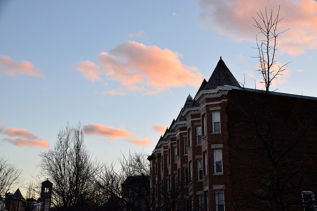 32165965520_b90e624af7_z