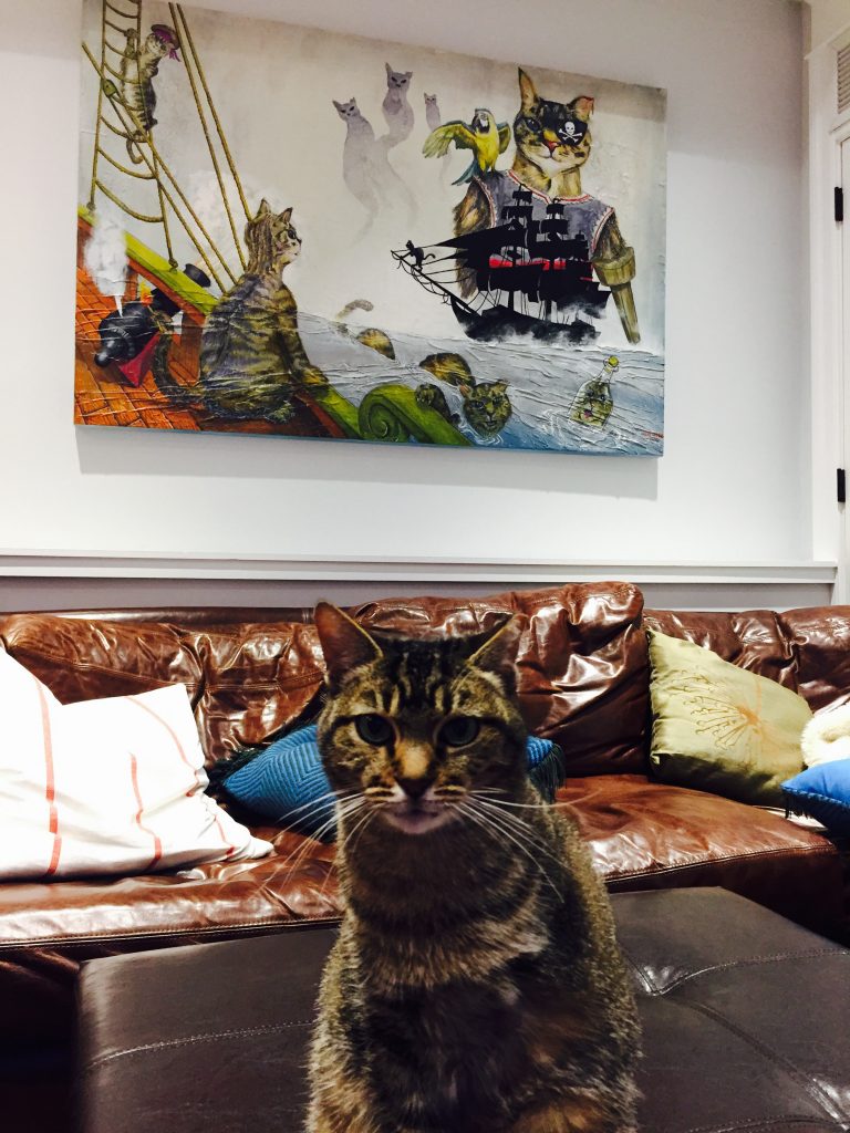animal-fix-awesome