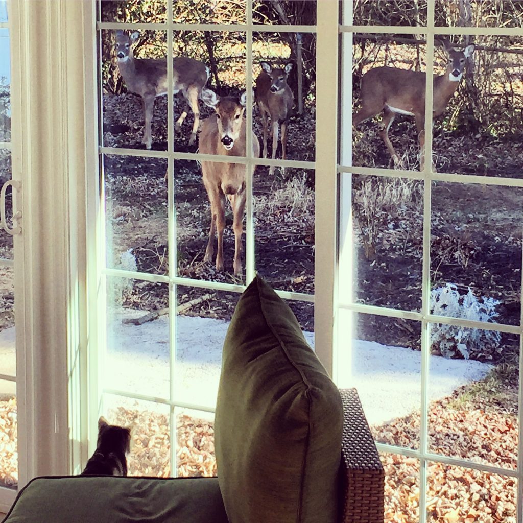 niles-vs-nature