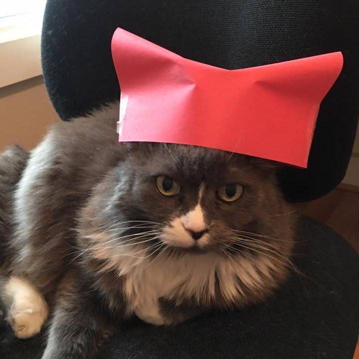 persephone_pussyhat