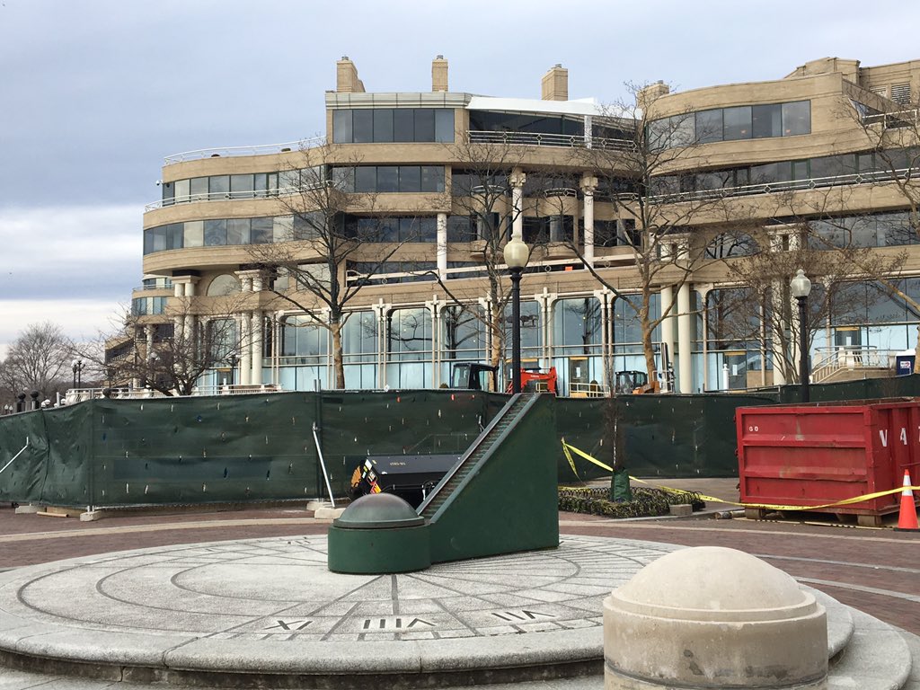 photo by Jamie Fuller sequoia