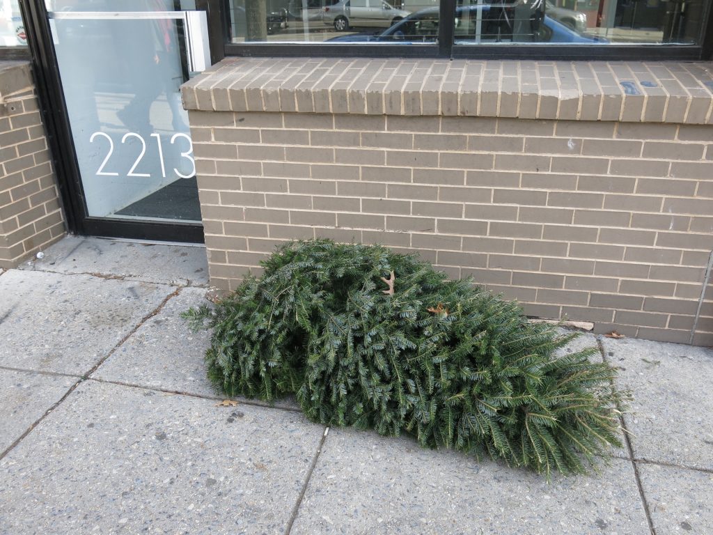 tree