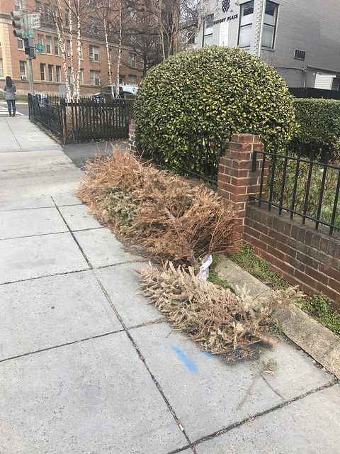 33593569511_a6a2fe8c78_z