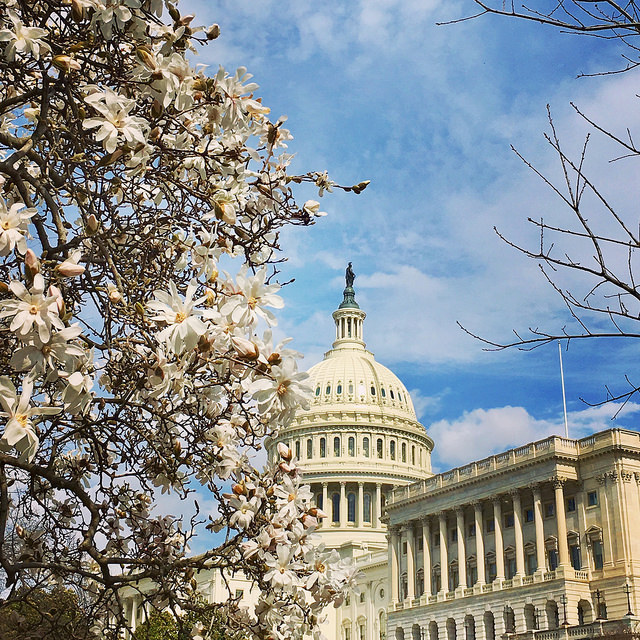 dc51state