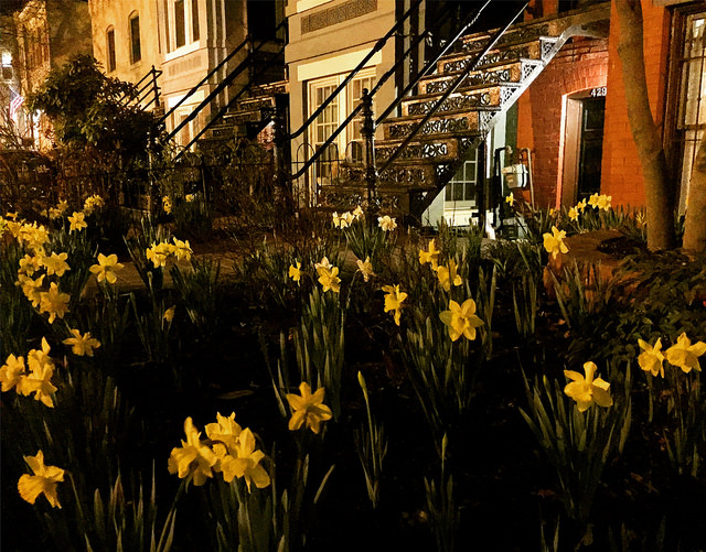 dc_neighborhood_news