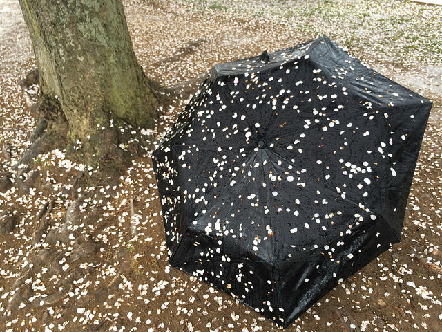 dc_neighborhood_news