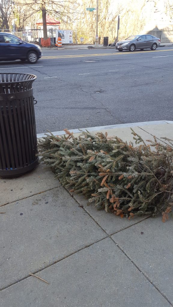 33777311256_6d345905b2_k