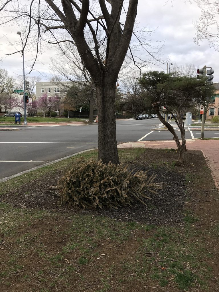 33818147055_671068bfcf_k