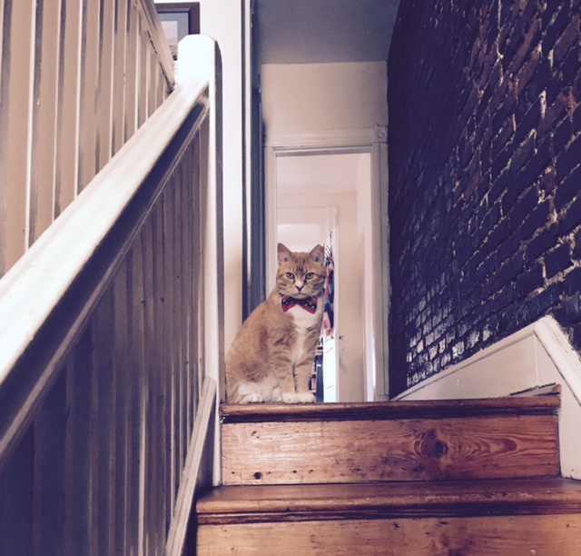 Sir Gnarls Vice Duke of Trinidad