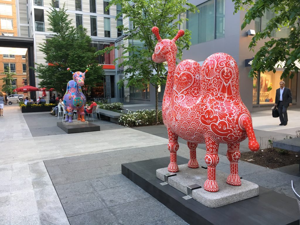 camels