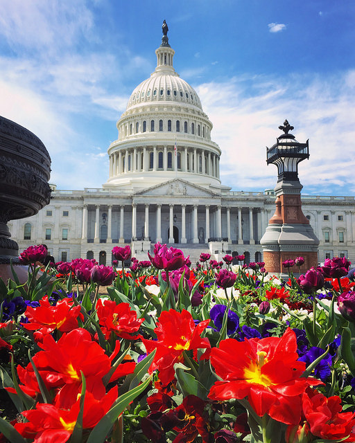 dc_neighborhood_news