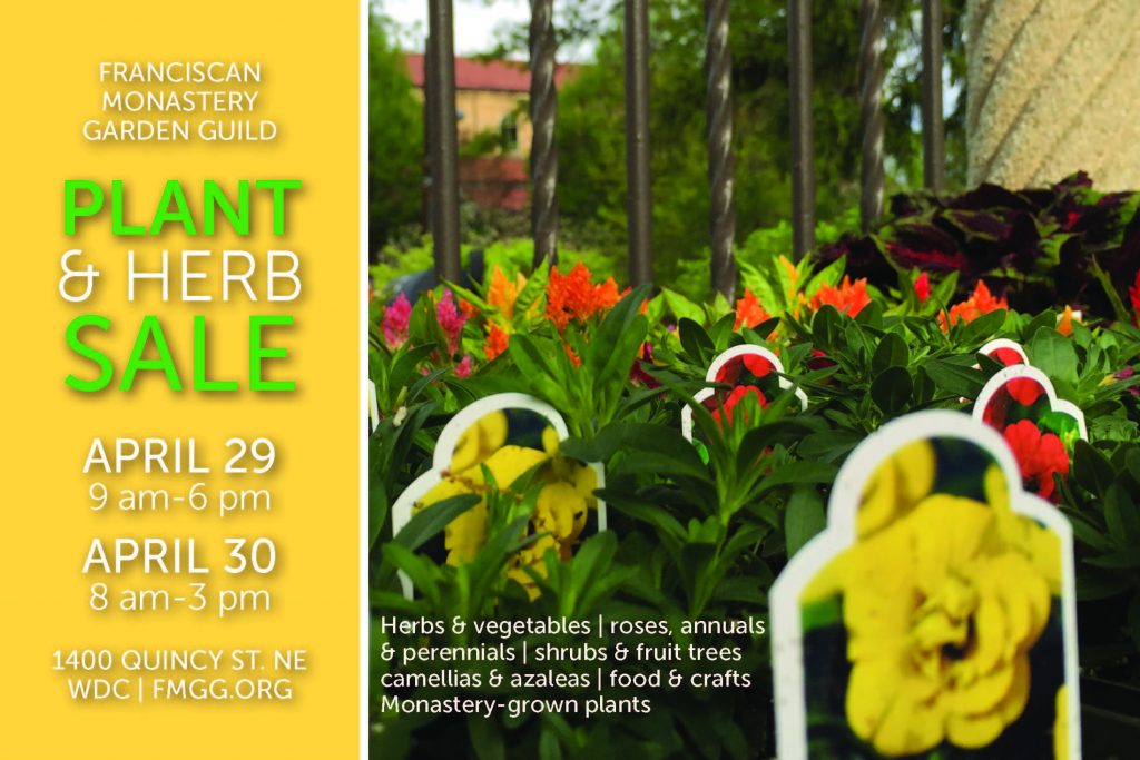 spring sale 2017