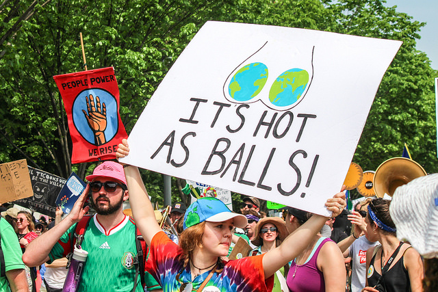 33615074034_473b611649_z