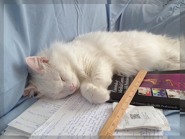 Dr. Watson - Nursing Student Helper