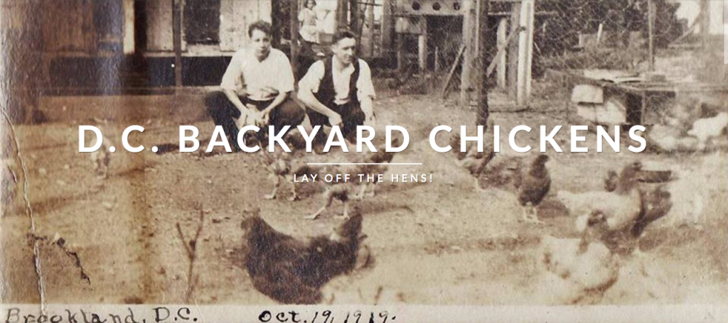 brookland chicken