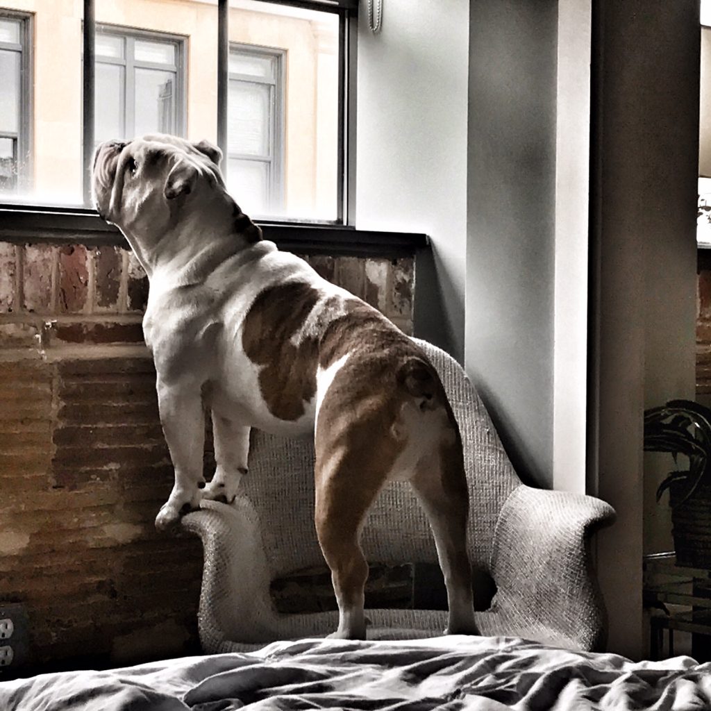 huck