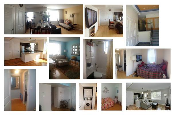 rental