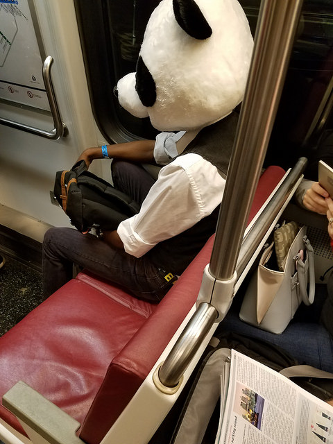 panda metro