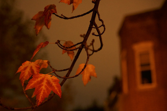 dc_neighborhood_news
