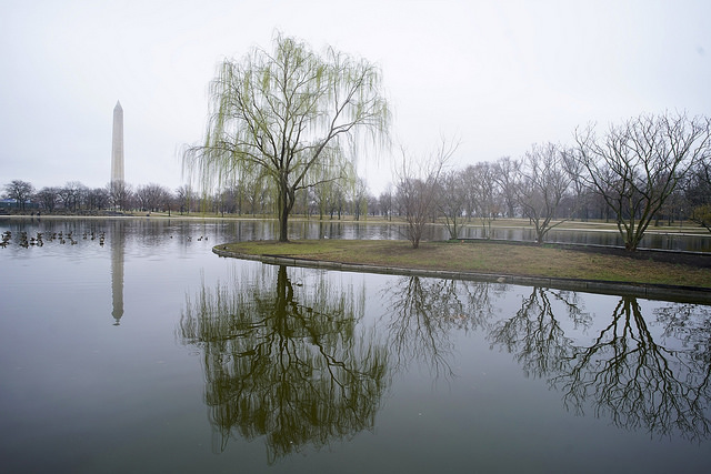 dc_neighborhood_news