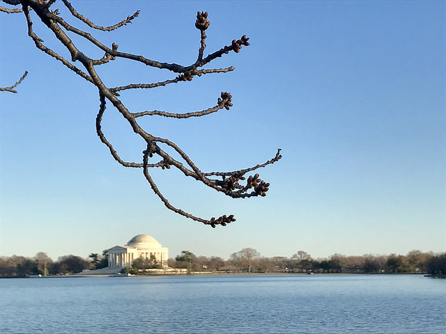 dc_neighborhood_news