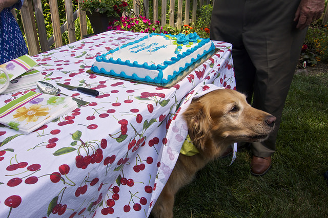 birthday