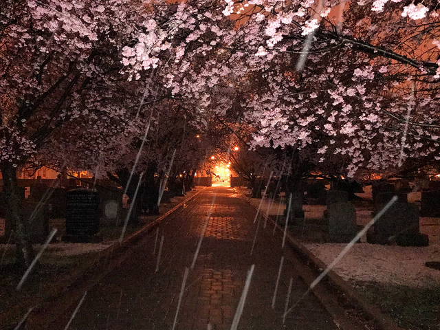 dc_neighborhood_news