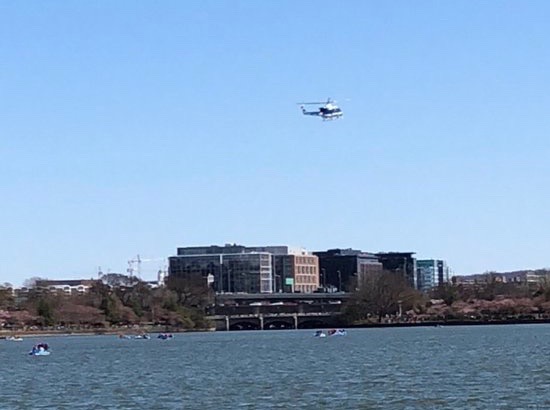 tidal basin body