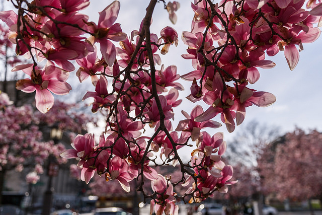 dc_neighborhood_news