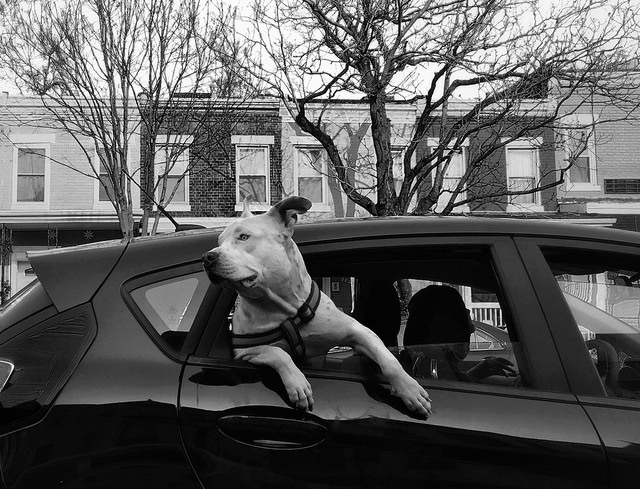 dc_neighborhood_news