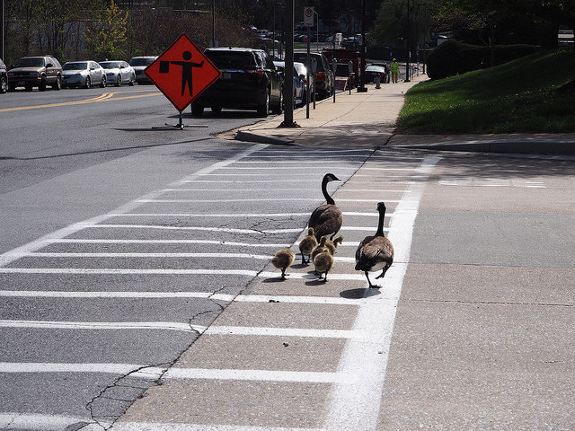 dc_neighborhood_news